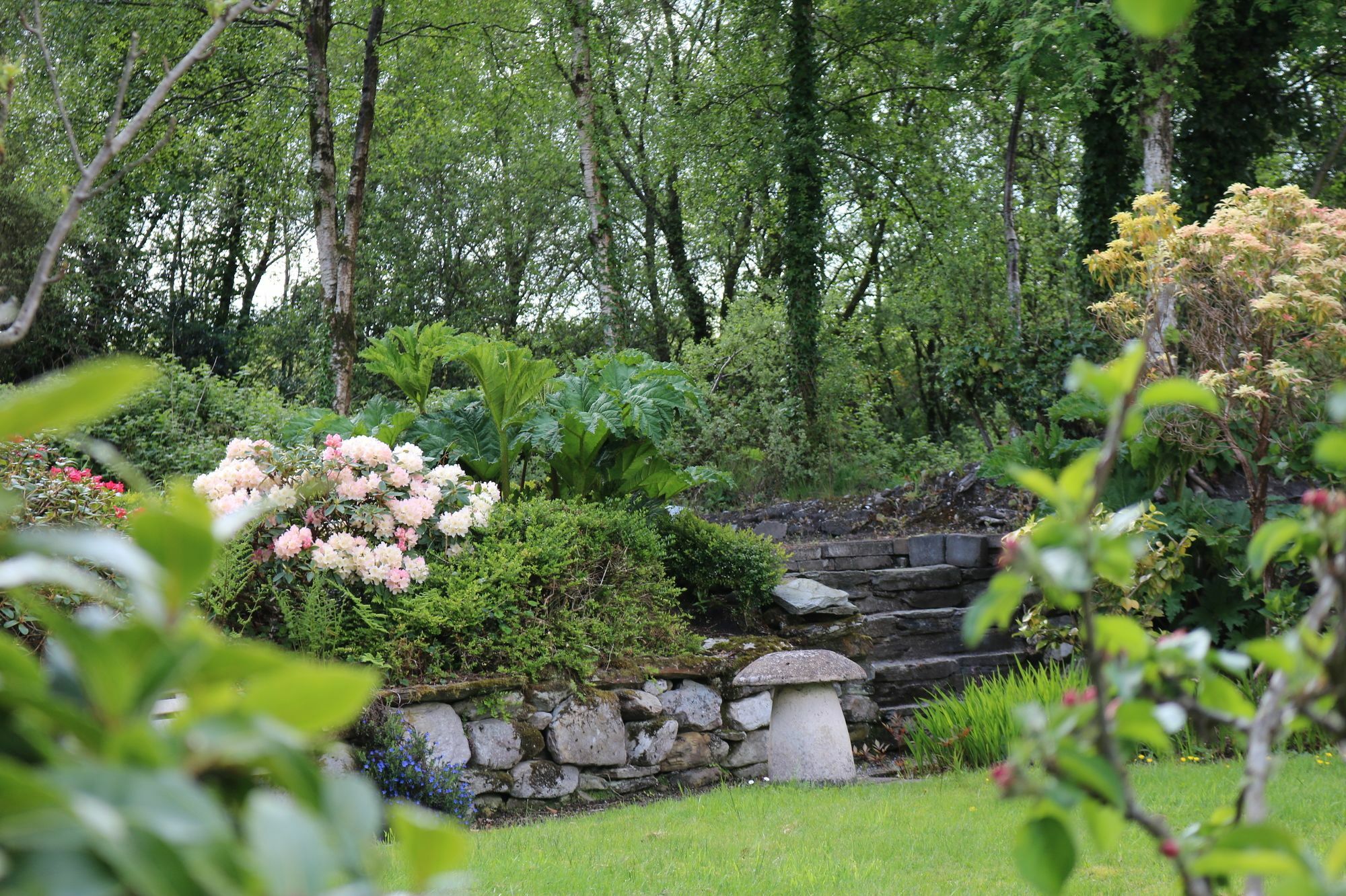 Five Oaks Bed & Breakfast Londonderry Dış mekan fotoğraf