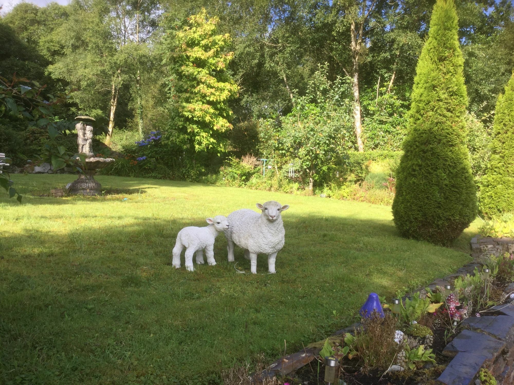 Five Oaks Bed & Breakfast Londonderry Dış mekan fotoğraf